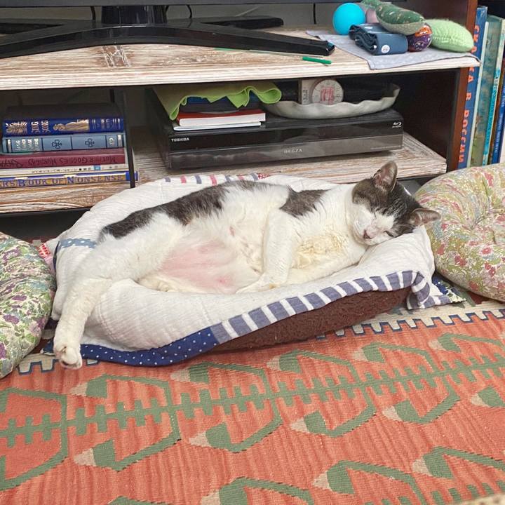 C0794a3c 97cc 4950 b8e3 09c97a036a10 1589453800753