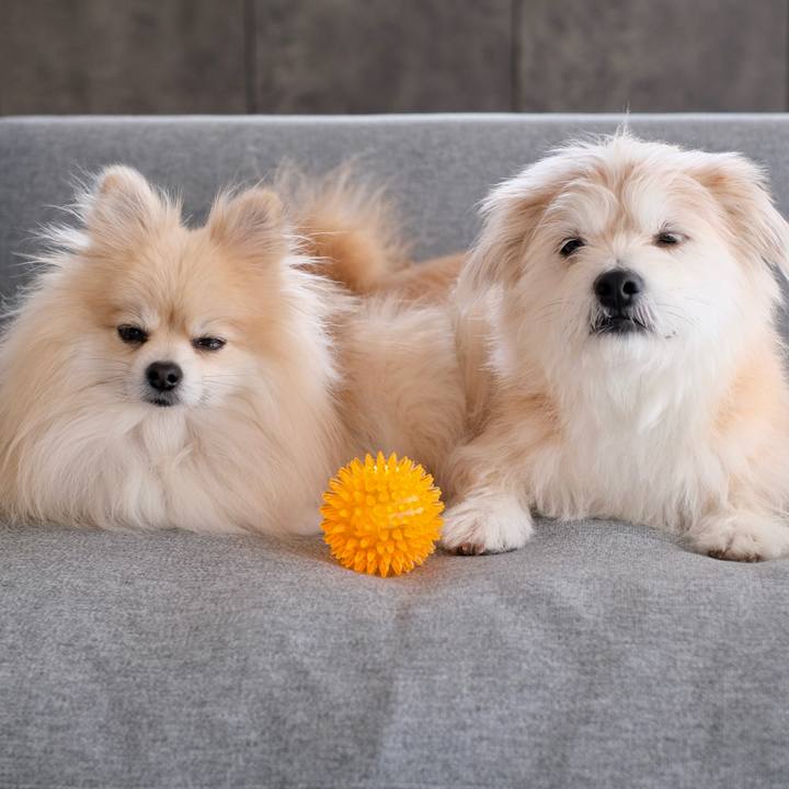 C0795766 4e0b 4948 b67b b53d74df2ca8 1772835046599