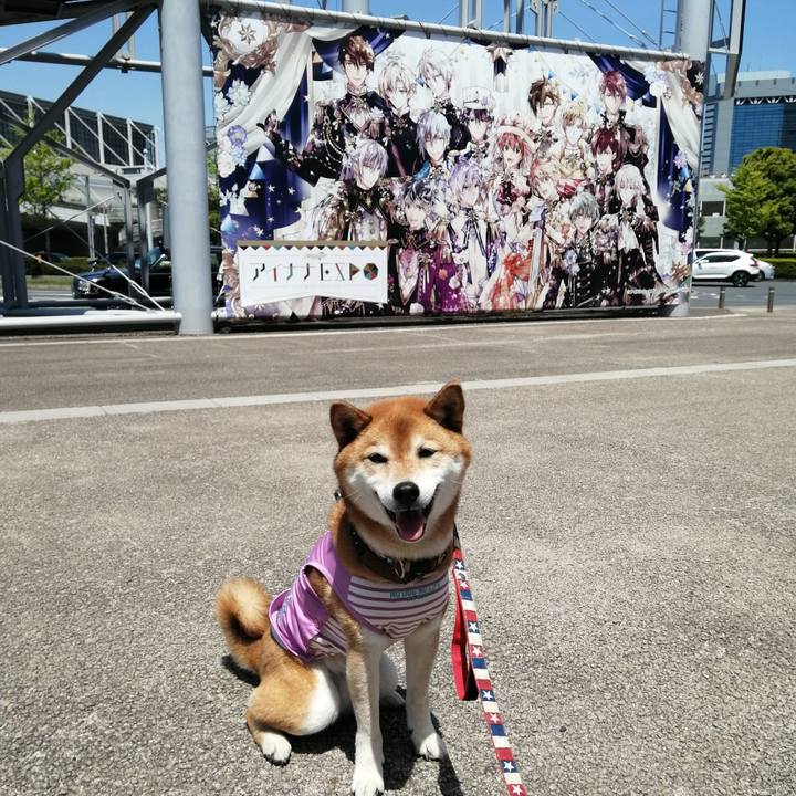 C0796c9c 85c8 46e4 983f 01dbf29f57d2 1683271681031