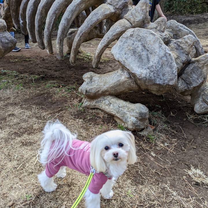 C07984d6 d373 4cc9 8a06 036fd50fadc7 1676198944419