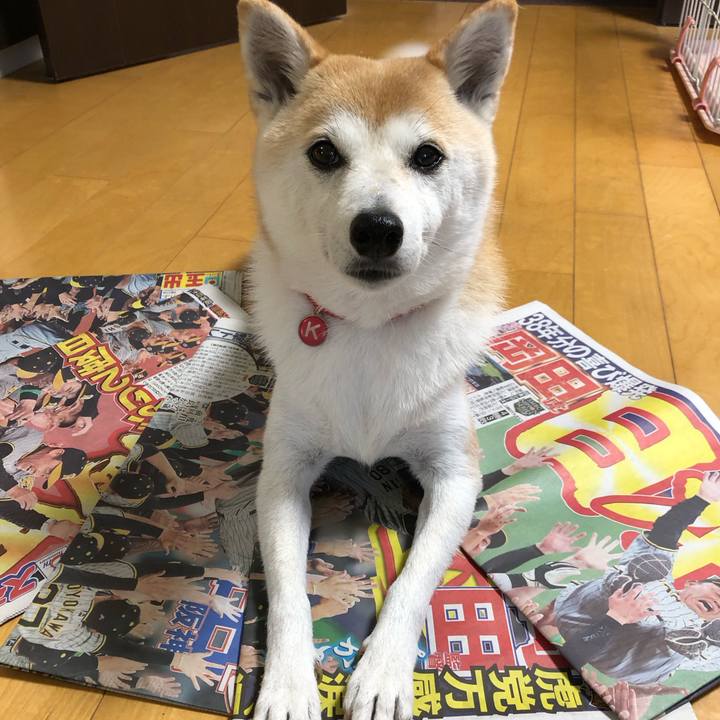 C07988e5 b47f 4380 8ce7 51fa1cc360fd 1699254676101