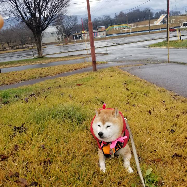 C079b18c 5029 4a8a b7e7 a9896740dec4 1702614549286