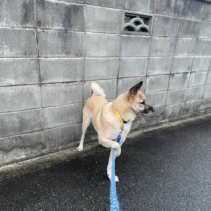 C079b2a4 9375 4cd7 9728 3e227a1d90e7 1638536113346