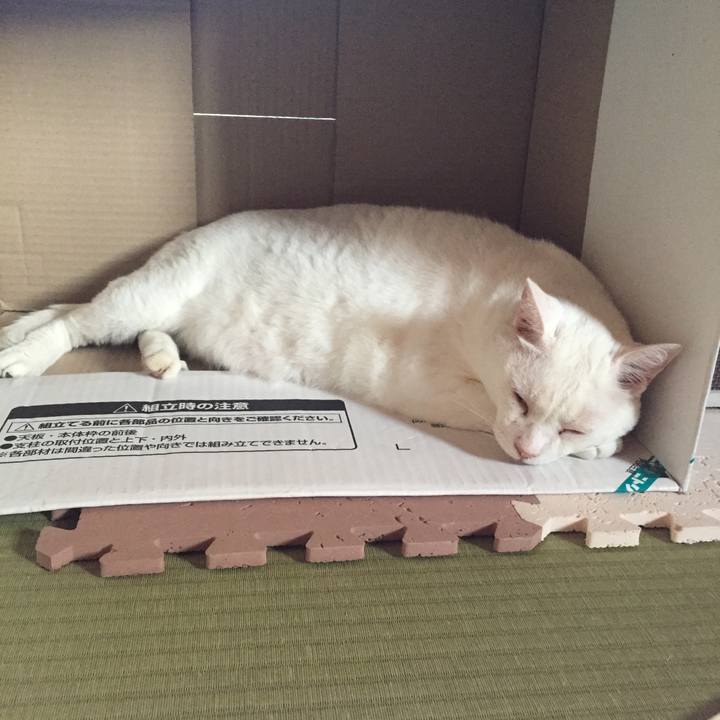 C079faea 7866 44ea 98bf 8700cbd1127a 1536480958489