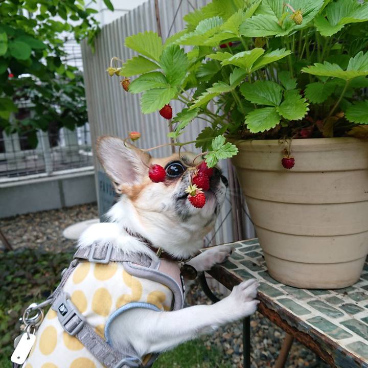 C07a09b1 8e74 49f1 b070 b83426c5c741 1557788606064