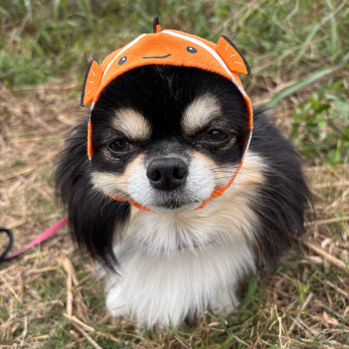 C07a16ca ee49 42c8 a55d 5a587d48e4d5 1762391438224