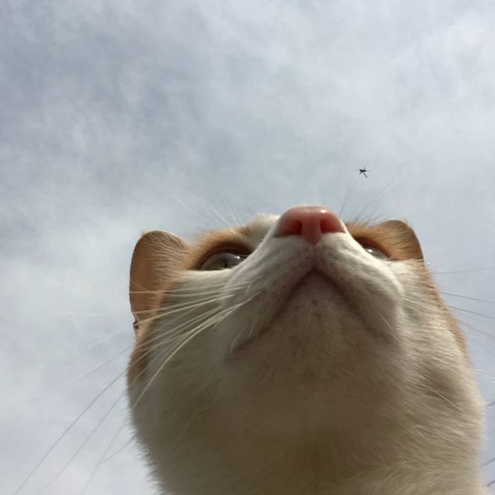 C07a329c 4ba9 49e9 a4e3 f9f7a0f10924 1521172606797