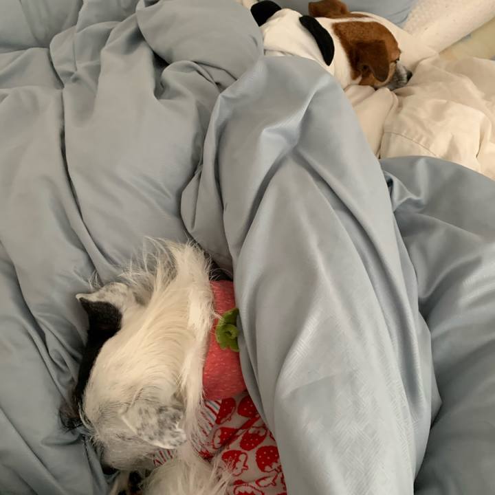 C07a6836 1dde 4e15 b7d3 22b03604a3fd 1579649210376