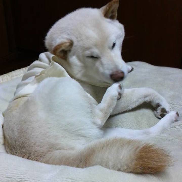 C07aad3c c069 43fe 9ea2 67e173a7de23 1635246507402