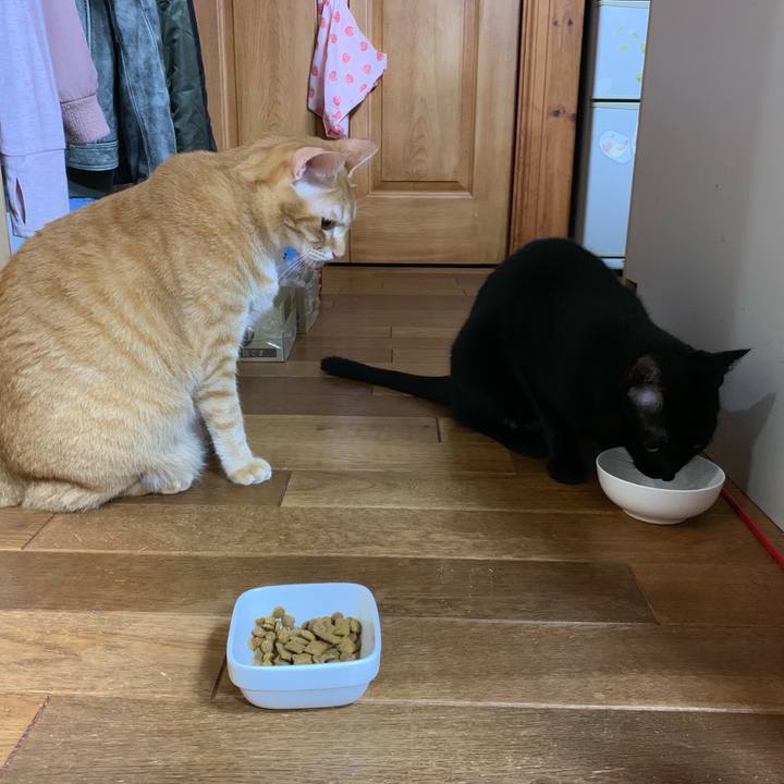 C07ad09b 0ab5 48e8 8fa1 9990edc0c47d 1566250518145