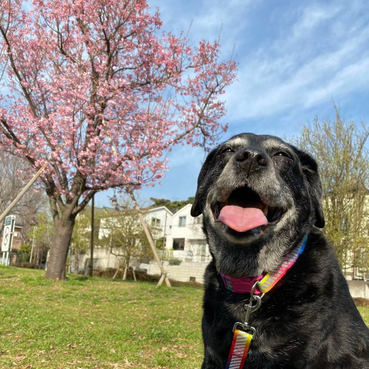 C07ad479 5b18 4f93 8673 57fb23aad334 1678948271337