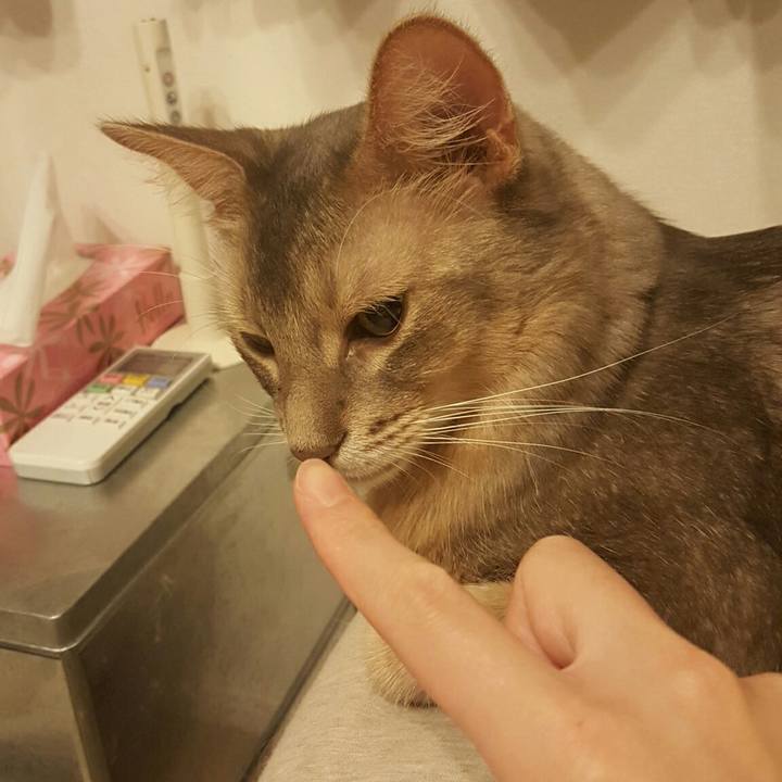 C07b328f 0471 45d4 b858 eded1f0f5351 1537357266669