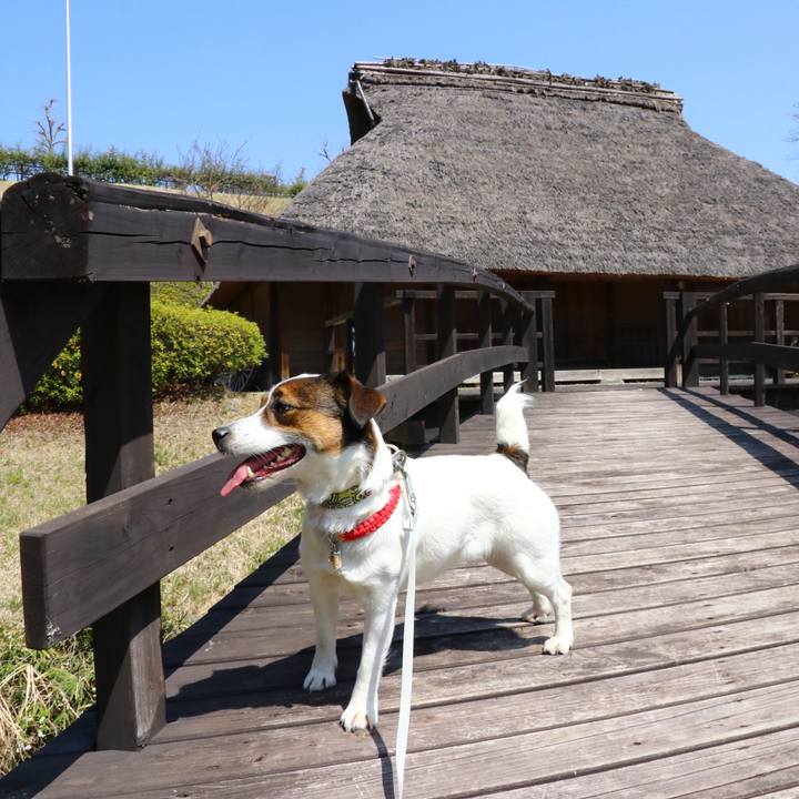 C07b4316 8281 4001 b0d1 3c8ae216857d 1554538646217