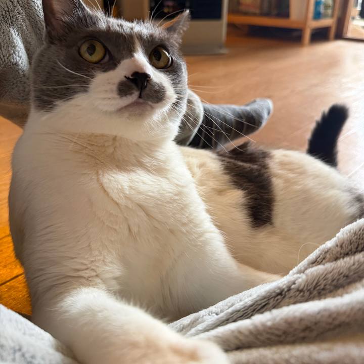 C07b54f6 c83f 48c2 90ca 19c2bb375d5d 1768091740578