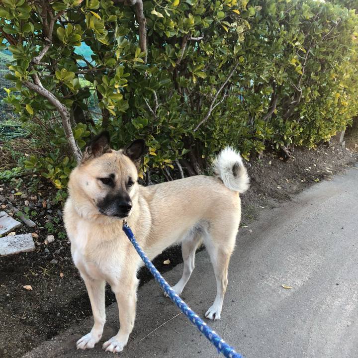 C07b62c2 5bff 47a3 a6c5 523d6da4ef4c 1605274112221