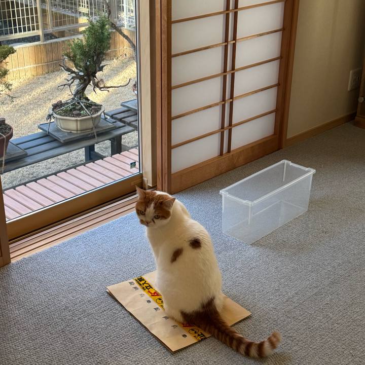 C07b66fb 9ad6 446d b19e ecd4d2509ee2 1767914161113