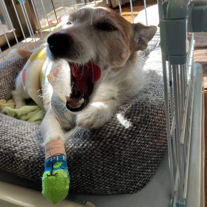 C07b6c00 3bee 4dd8 9070 aad64c17b057 1733354595996