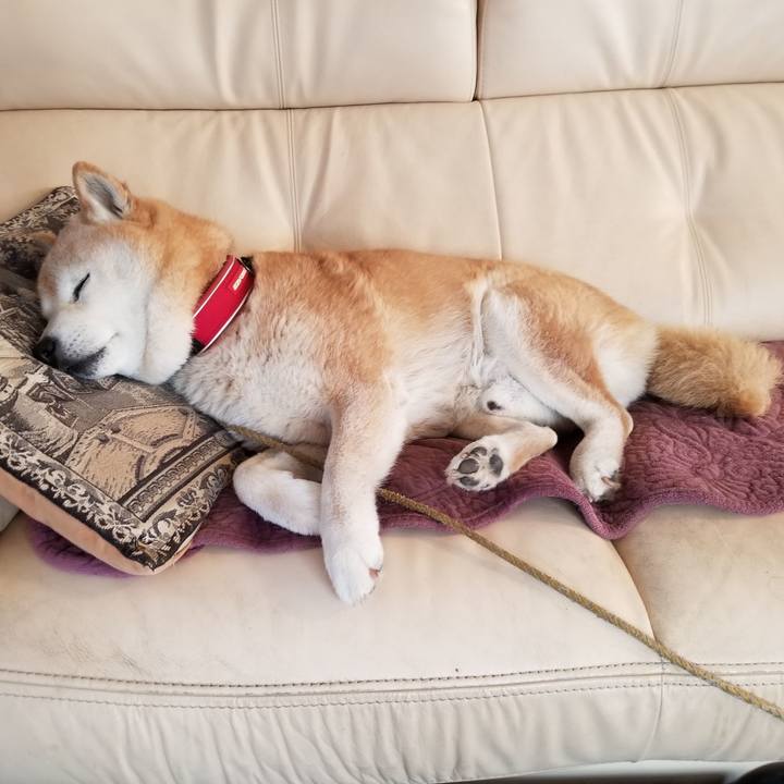 C07b7003 dc53 4046 8611 c1d180abba6d 1712444555270