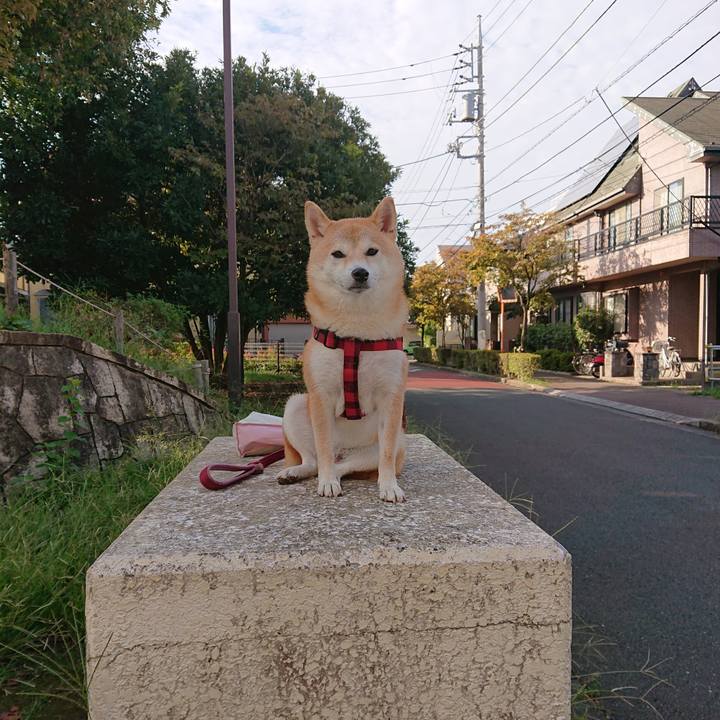 C07b73b4 a9d0 4fc9 ad91 9fb0eff343c2 1732738388931