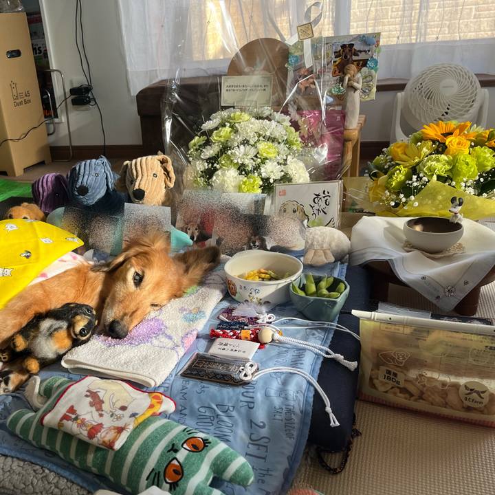 C07b7eb0 3252 4f02 ba0c d70a46a70e9d 1685802426922