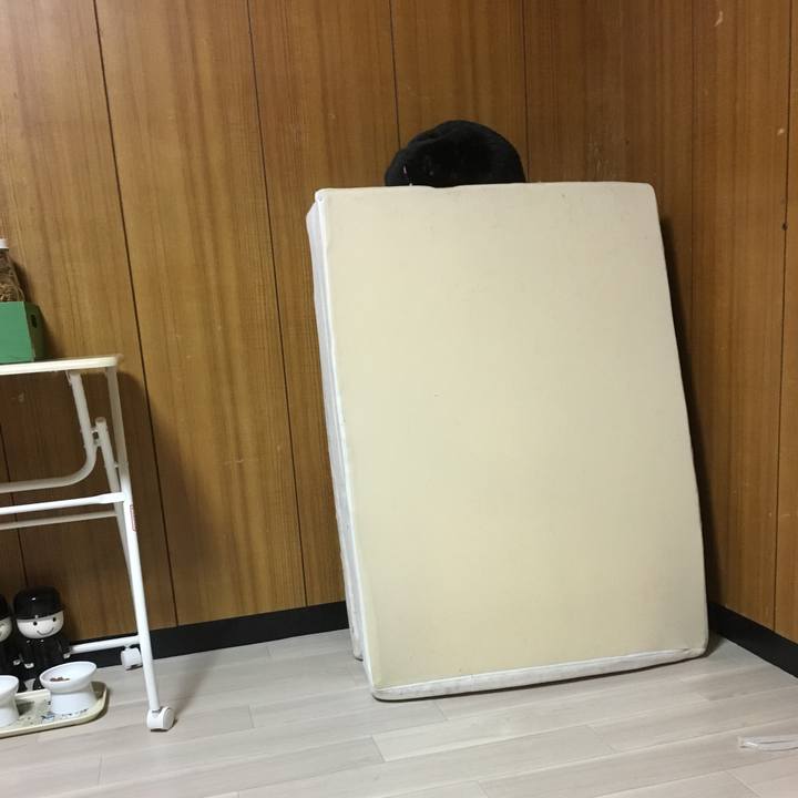 C07bb7a7 54dc 492e b98b e420b4e8e471 1510664009815