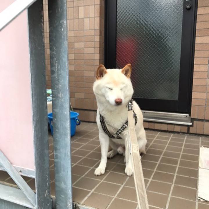 C07bbd7e f073 4a93 a607 3bf8f71833c7 1647318948837