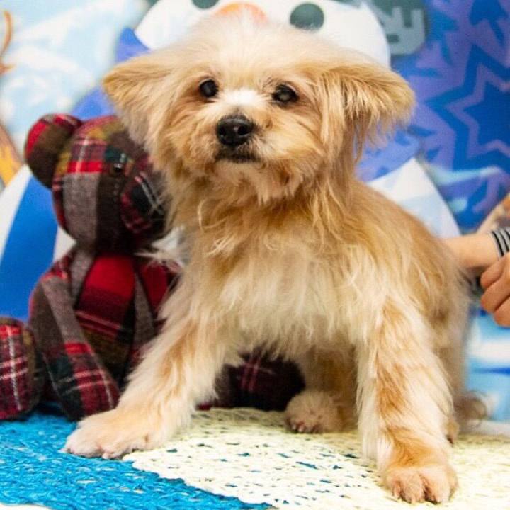 C07bd5d1 f162 421e bc2a 9f219ef7b080 1548867494061