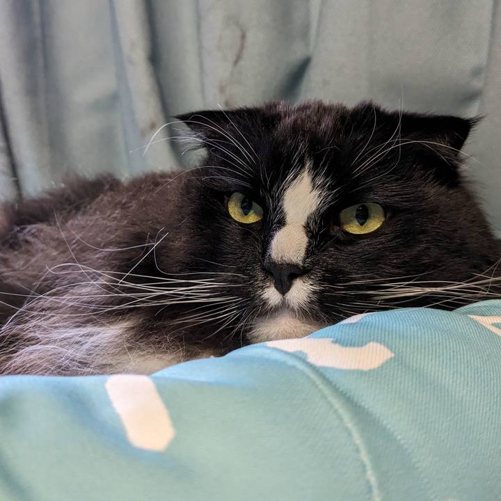 C07c0e6d 1dfe 49e4 92b0 4ba8bfc865b8 1710632812111