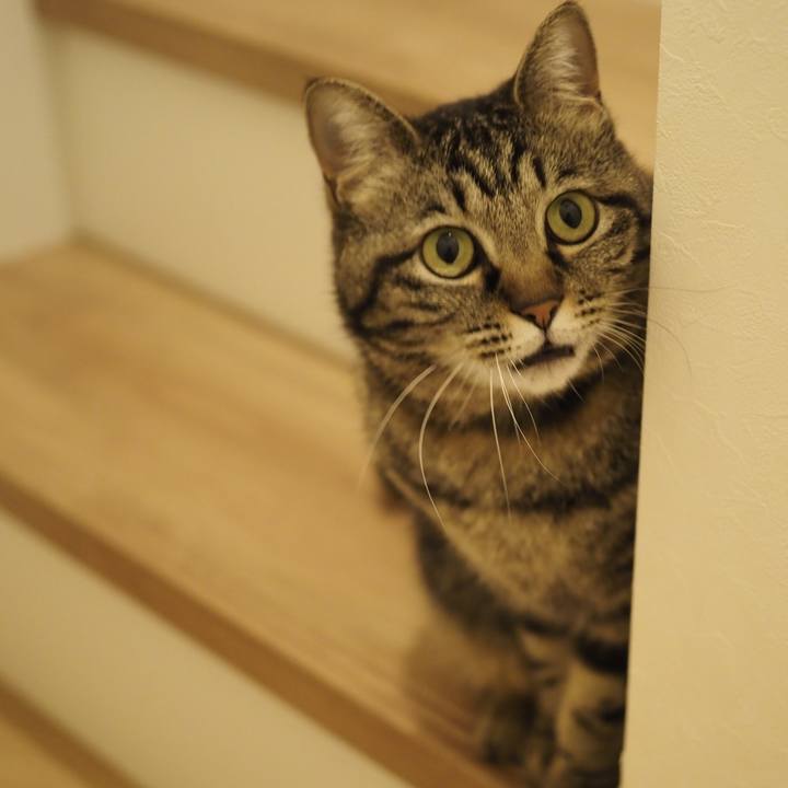 C07c6b2a b904 4721 a50c c0cf0c6dee20 1653880717850