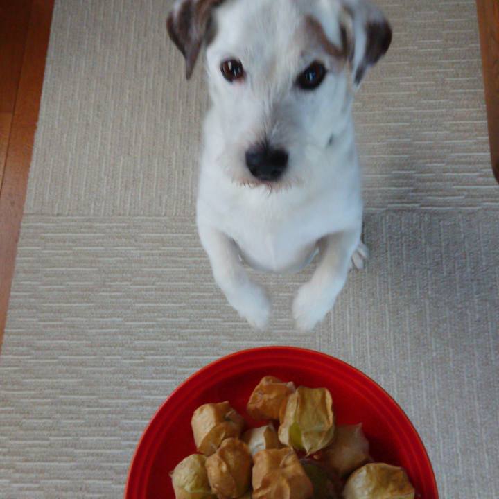 C07c6e77 1ac1 4956 89ea af89704a5a31 1565048842712