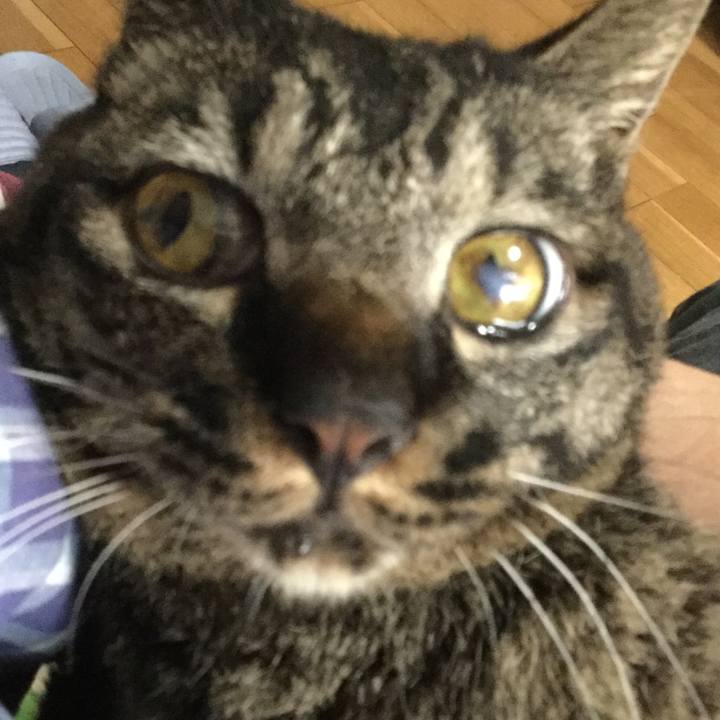 C07cba57 6c7c 4ca8 90a6 d4c7b0644b8a 1595638094794