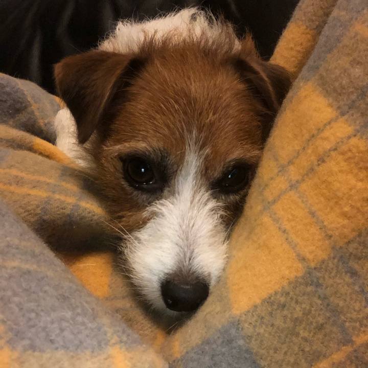 C07cc7ca 8465 4dc6 9e5d 32e10f22c197 1575286600448