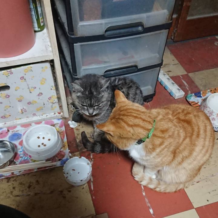 C07cc802 0bcc 441b b2bd f2f09dce052d 1584043274898