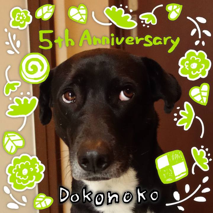 C07cd996 03f5 4da5 bda4 e815f05a4262 1622876029015