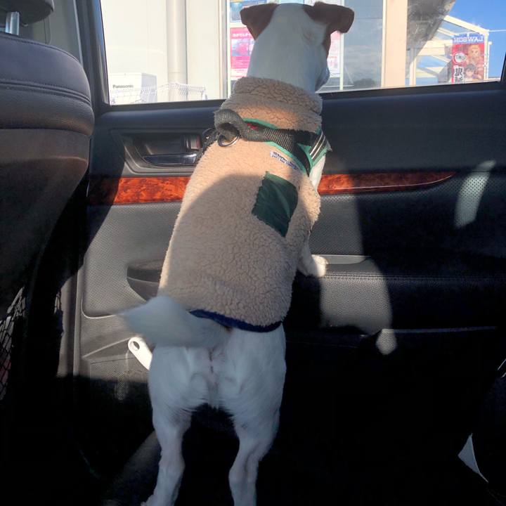 C07ce79d e98f 45db 8e17 71444bfb421a 1603620512646