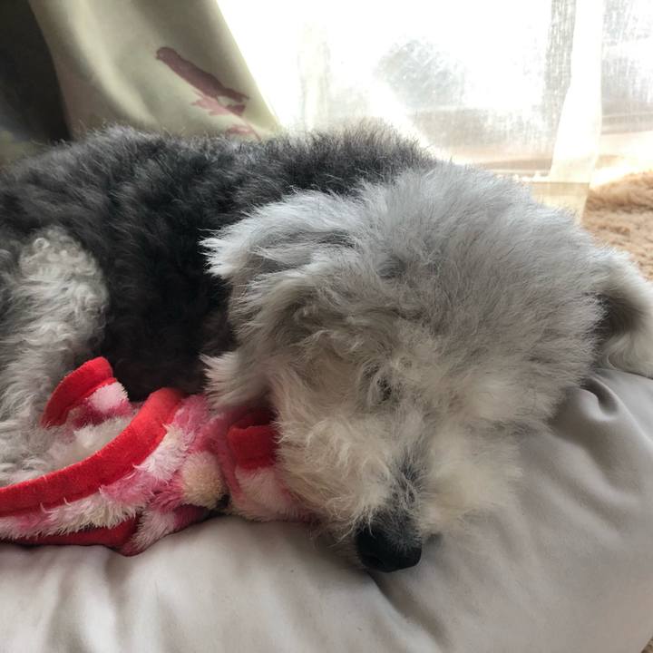 C07cf133 f04c 48c1 9ffa 0b8df1bbc2c1 1663998117960