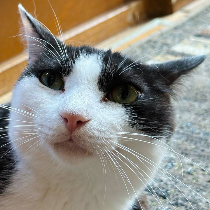 C07cf995 619d 4857 b624 2b6b22fc7397 1689037865891