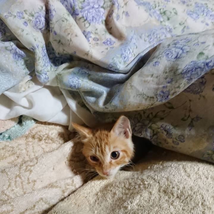 C07cfdc9 de9b 49e5 9a74 b9f9c4835796 1629031058452