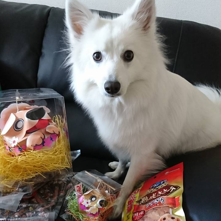 C07d1d61 aad6 40d4 8006 1137021f2f28 1516058777945