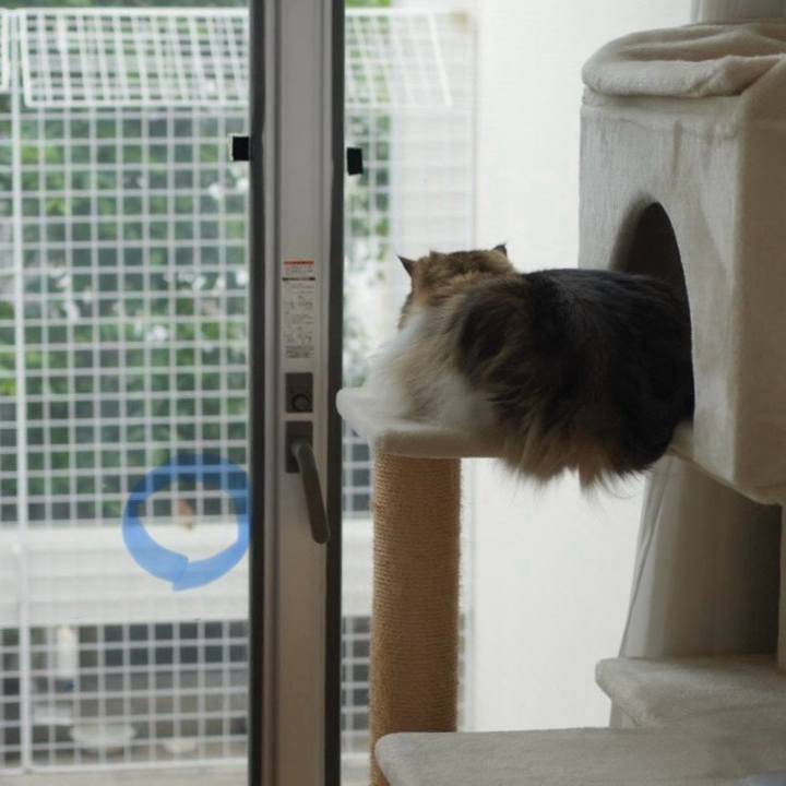 C07d2bf7 4ee7 4a45 90aa 7b5117394444 1722933130621