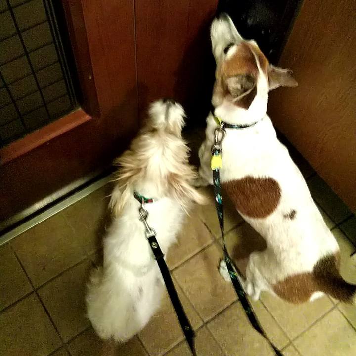 C07d4a46 3db8 4478 9b29 ca1757437db4 1550662529888