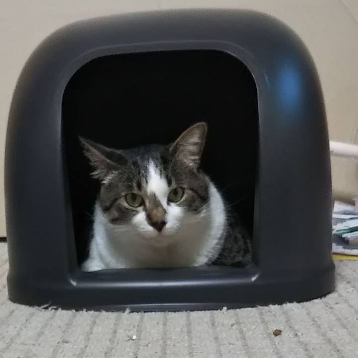 C07d6e7f 311b 4b89 bc05 e17d1d76d3e4 1624442318491