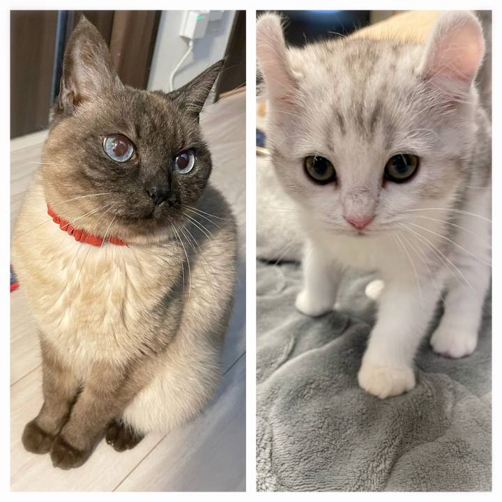 C07d9c3c c269 437f 8791 aa8441e97595 1776209038180