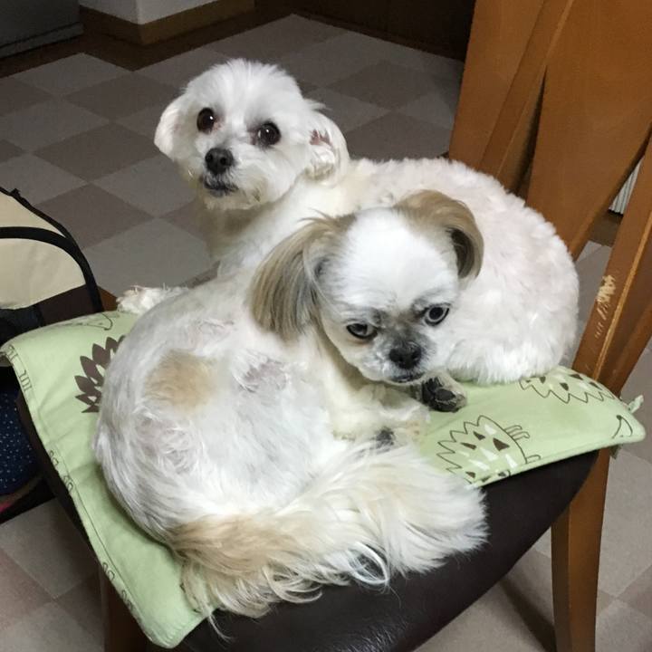 C07db8d2 f73b 47c8 a77b da188a73485c 1548846301321