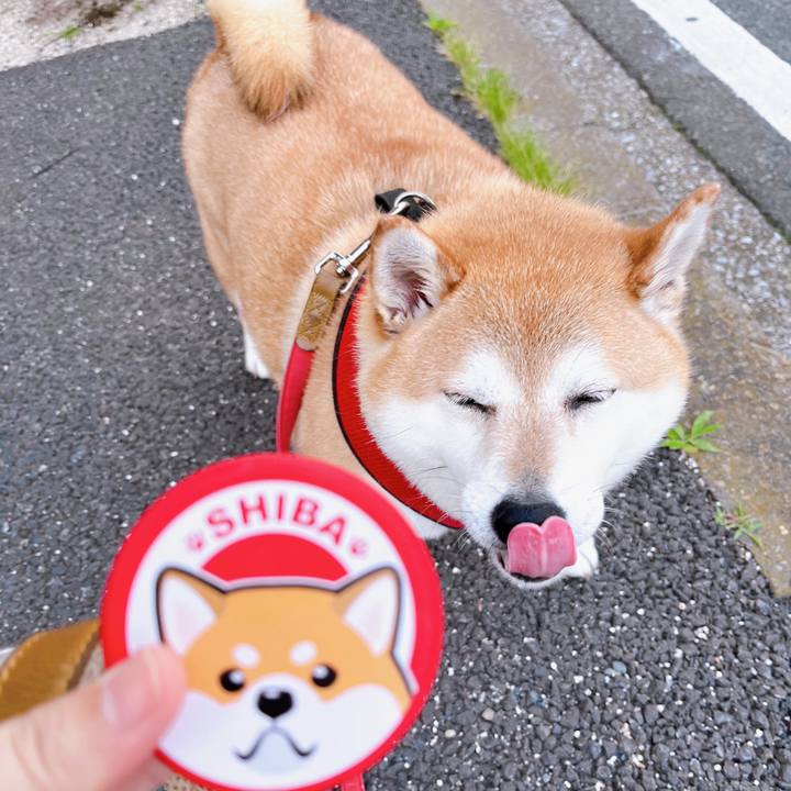 C07dd766 a138 4dc1 94b9 341068f3fd23 1687090653993