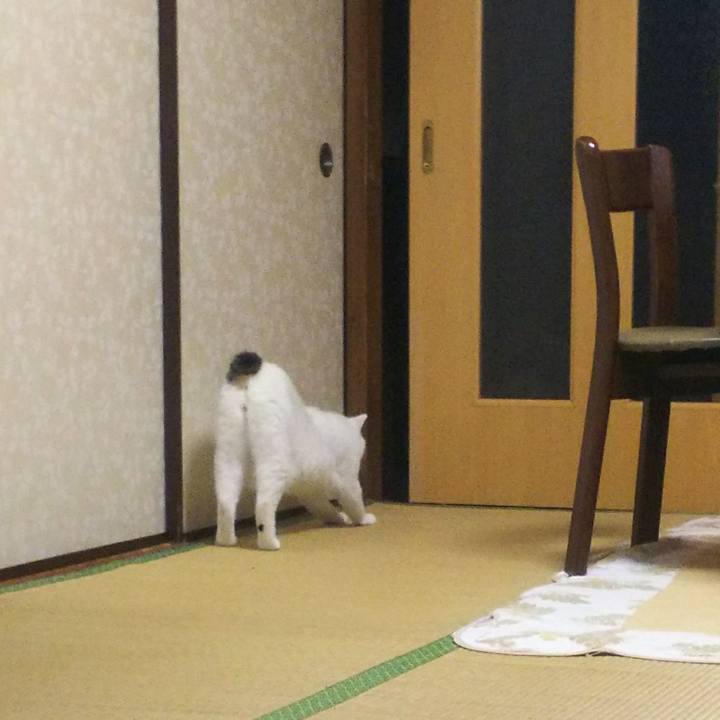 C07e0840 7728 47aa 8382 3698f021543e 1533736458093