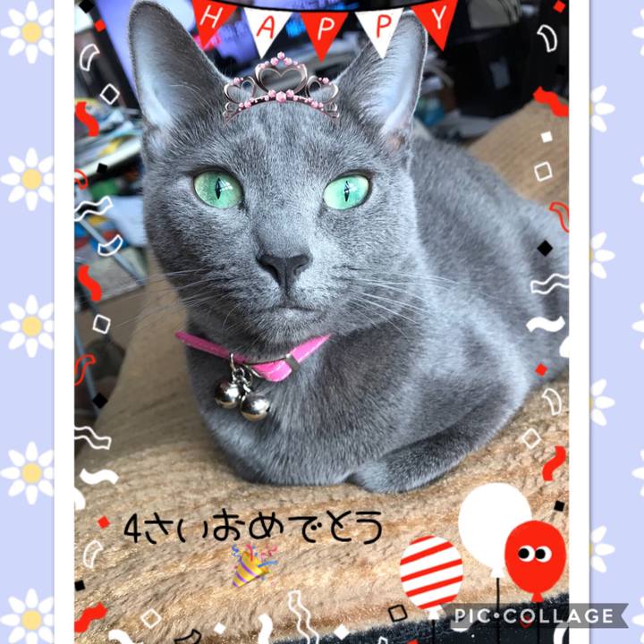 C07e67b5 8ee7 4aa0 af20 98f3f80b301b 1525572626082