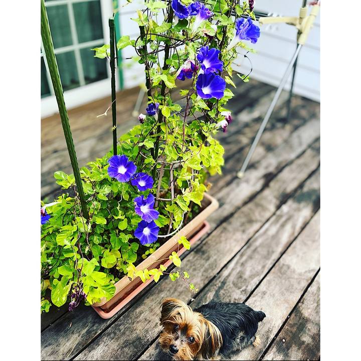 C07e789e 4a52 4f45 90cb 04f39ef1b277 1661723832161