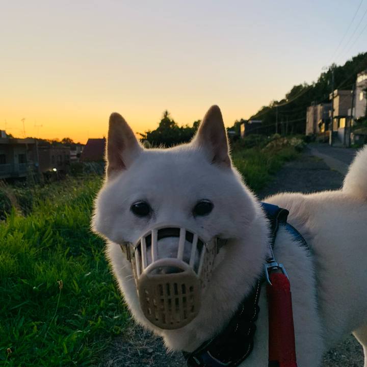 C07eeae3 f76a 4647 9502 3795d293e603 1662755475844