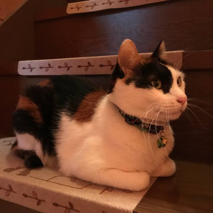 C07eebf1 61e7 4950 b3ed fe8d5ceeb90c 1522159122250